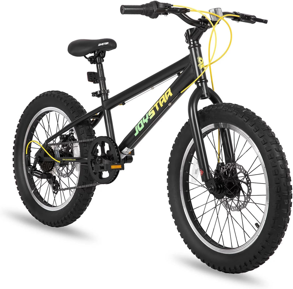 20 Inch 7 Speed Fat Tire Mountain Bike M80725