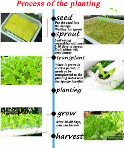 54 Plant Sites Hydroponic Grow Kit with 110V Pump R886