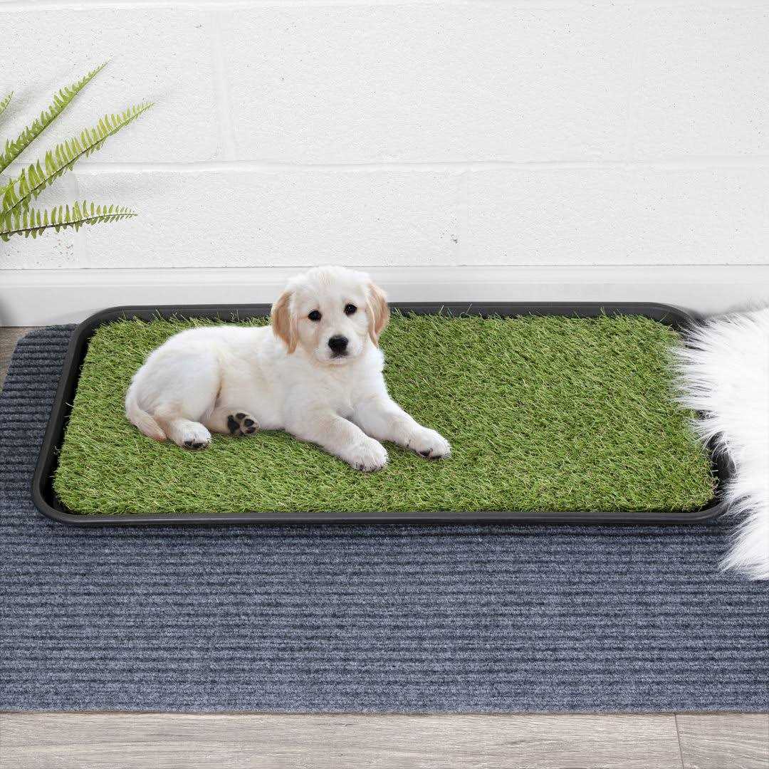 Indoor/Outdoor Non-Slip Tray with Reusable Grass Pad U47259