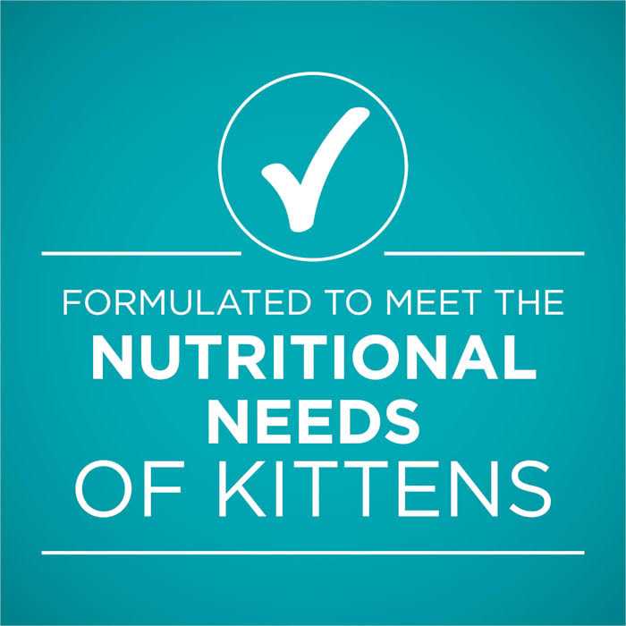 Grain Free Chicken & Salmon Pate Wet Cat Food N527