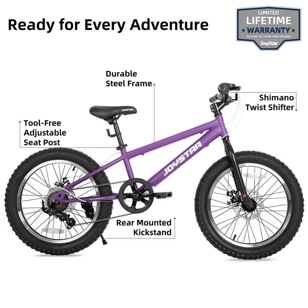 20 Inch 7 Speed Fat Tire Mountain Bike M80725