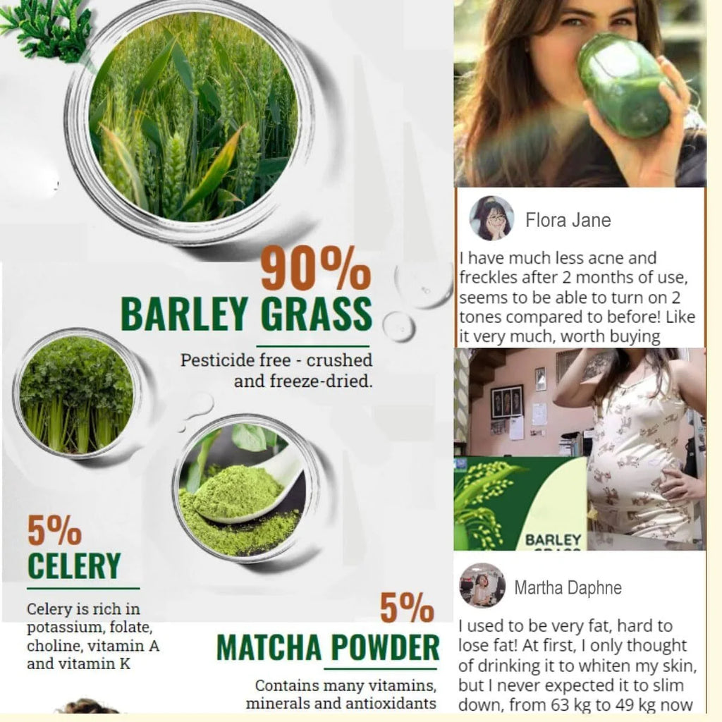 Organic Barley Grass Powder 4 Boxes P5780