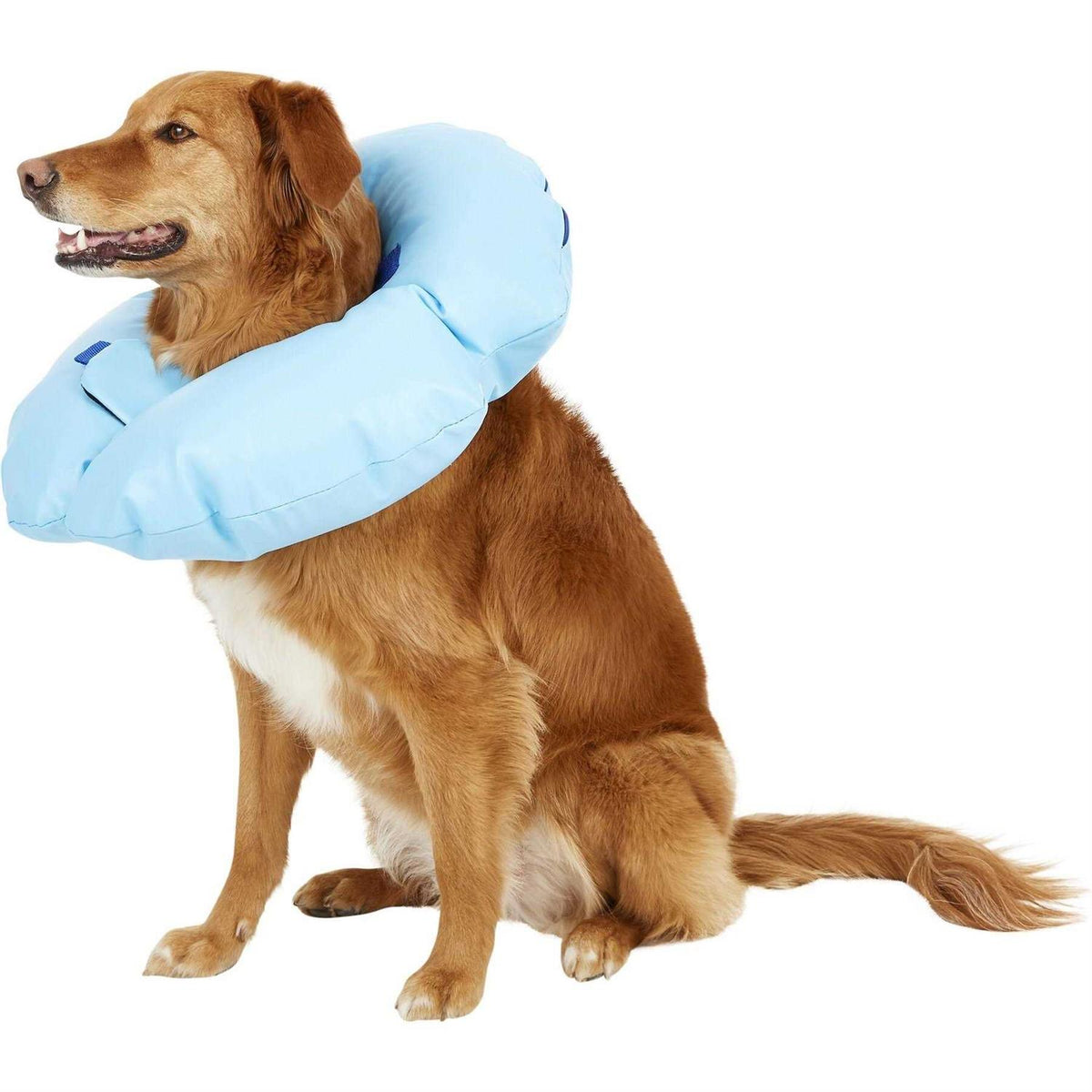 Inflatable Recovery Dog Collar W784